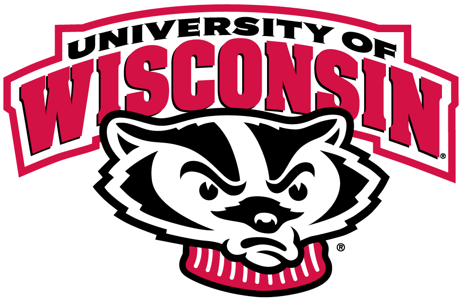 Wisconsin Badgers 2002-Pres Alternate Logo diy fabric transfer